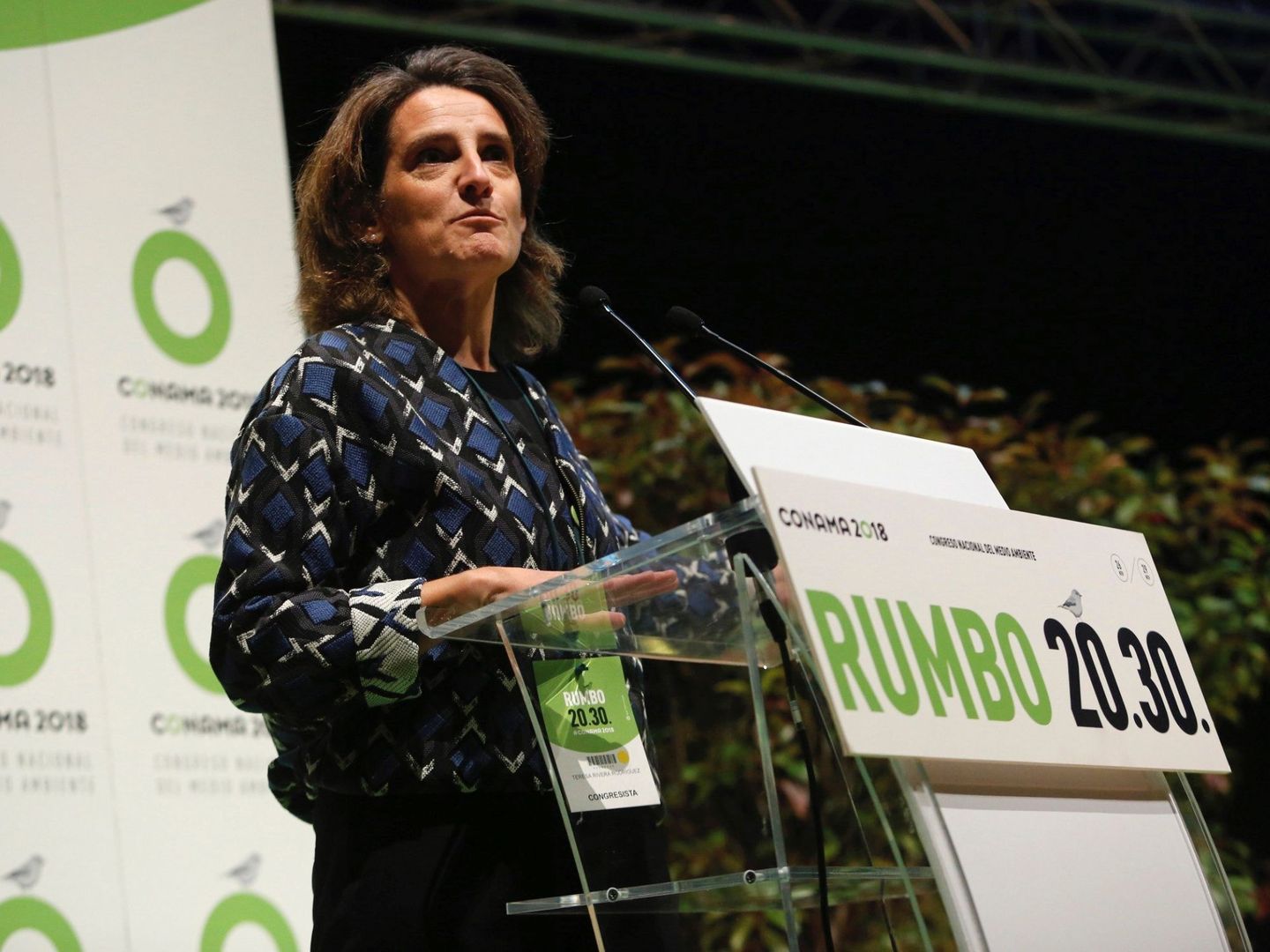 La ministra para la Transición Ecológica, Teresa Ribera. (EFE)