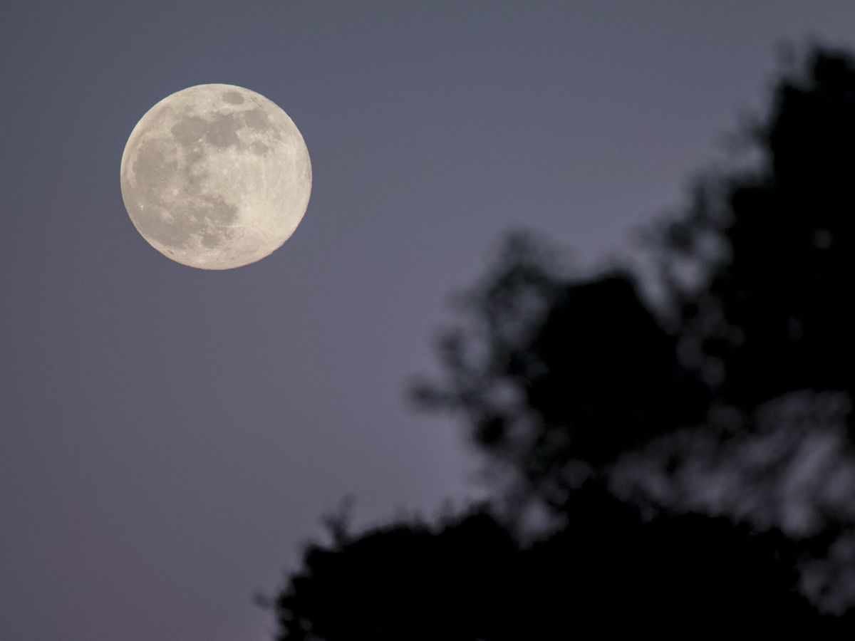 Foto: Estamos a punto de ver una nueva luna llena, correspondiente a este mes de marzo (EFE/Annais Pascual)