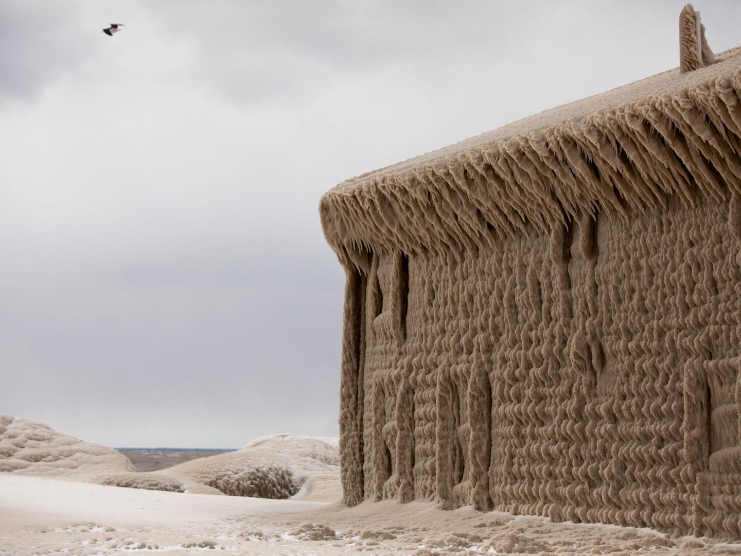 Las formas generadas por el hielo son impresionantes (Reuters/Lindsay DeDario)