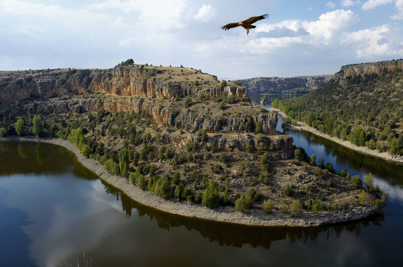 Vista aérea de las Hoces del río Duratón, cerca de Sepúlveda, en Segovia. (iStock)