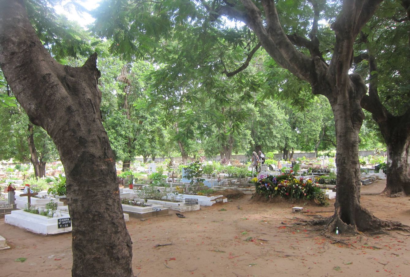 Cementerio en Mozambique (J.B.)