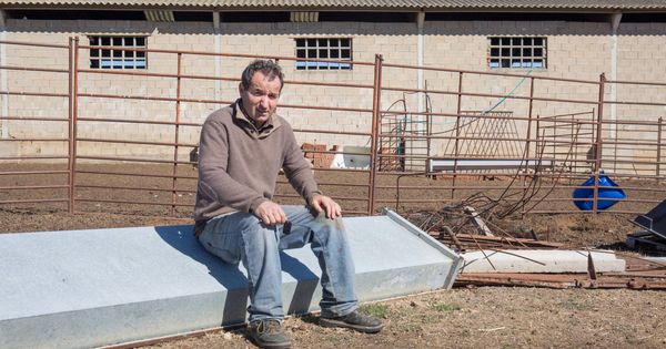 Foto: Rafael Lobato, ganadero y exalcalde de Peque (Zamora), en su explotación ovina. (David Brunat)