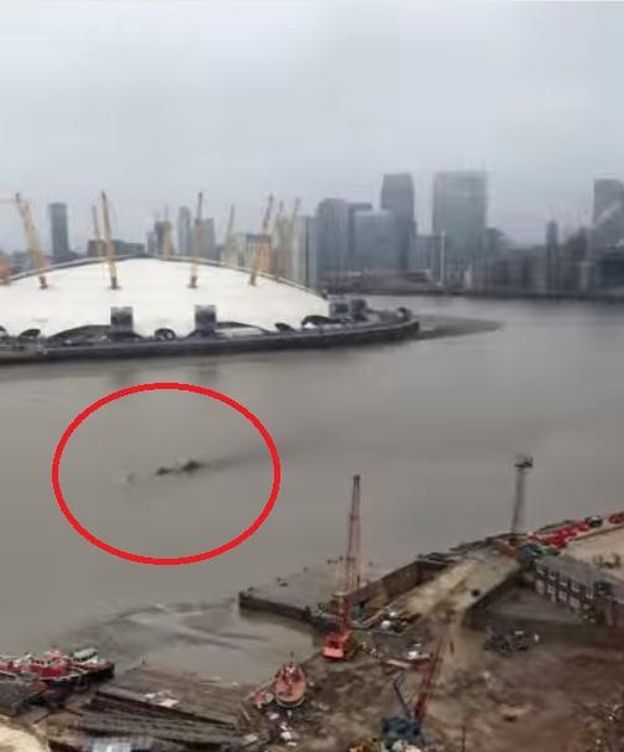 Foto: ¿Se ha mudado el monstruo del lago Ness al Támesis de Londres? (YouTube/Penn Plate)