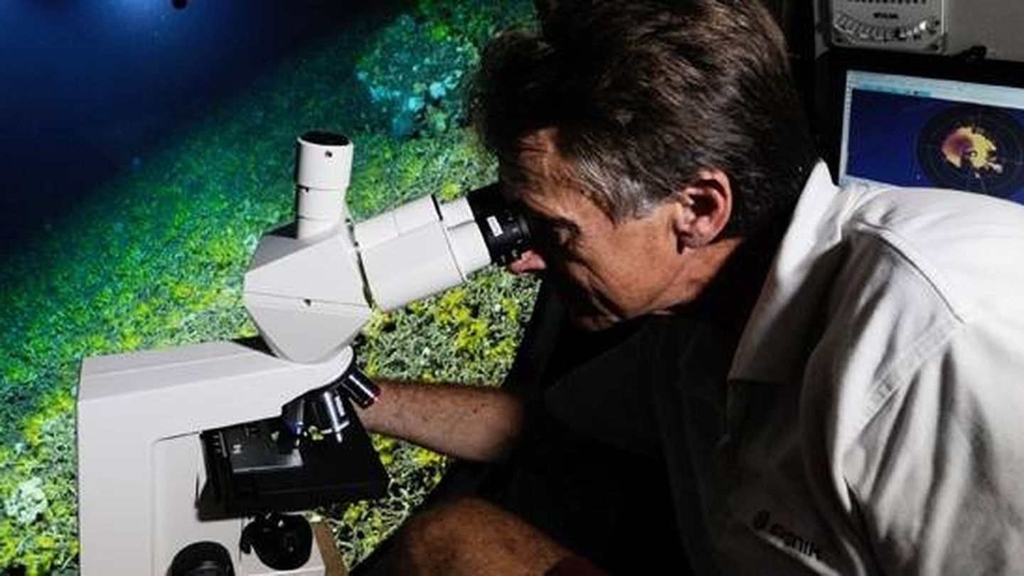 Imágenes de la investigación de la Fundación Rebikoff-Niggeler, pioneros en el estudio de especies marinas microscópicas.