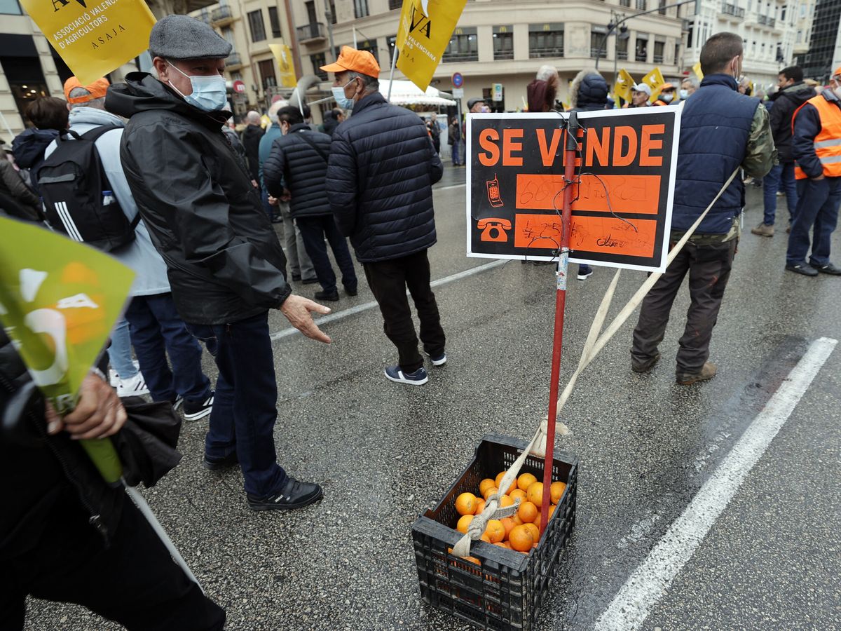 Foto: Protesta de agricultores en Valencia. (EFE/Manuel Bruque)