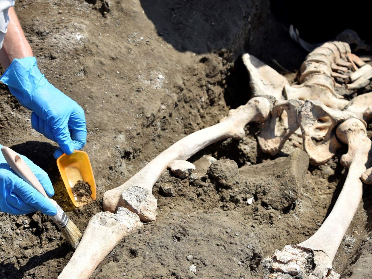 Esqueleto del hombre que intentaba ponerse a salvo de la erupción del Vesubio en el 79 d.C. (EFE)