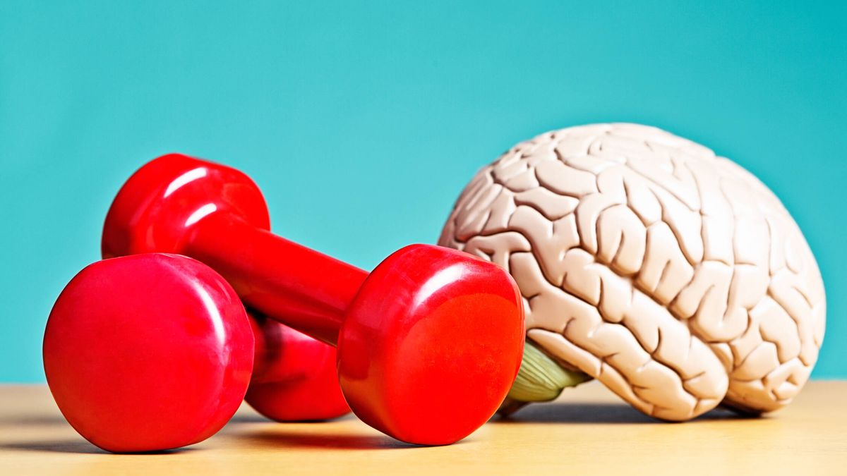 Por qué los ejercicios de fuerza también son buenos para tu cerebro