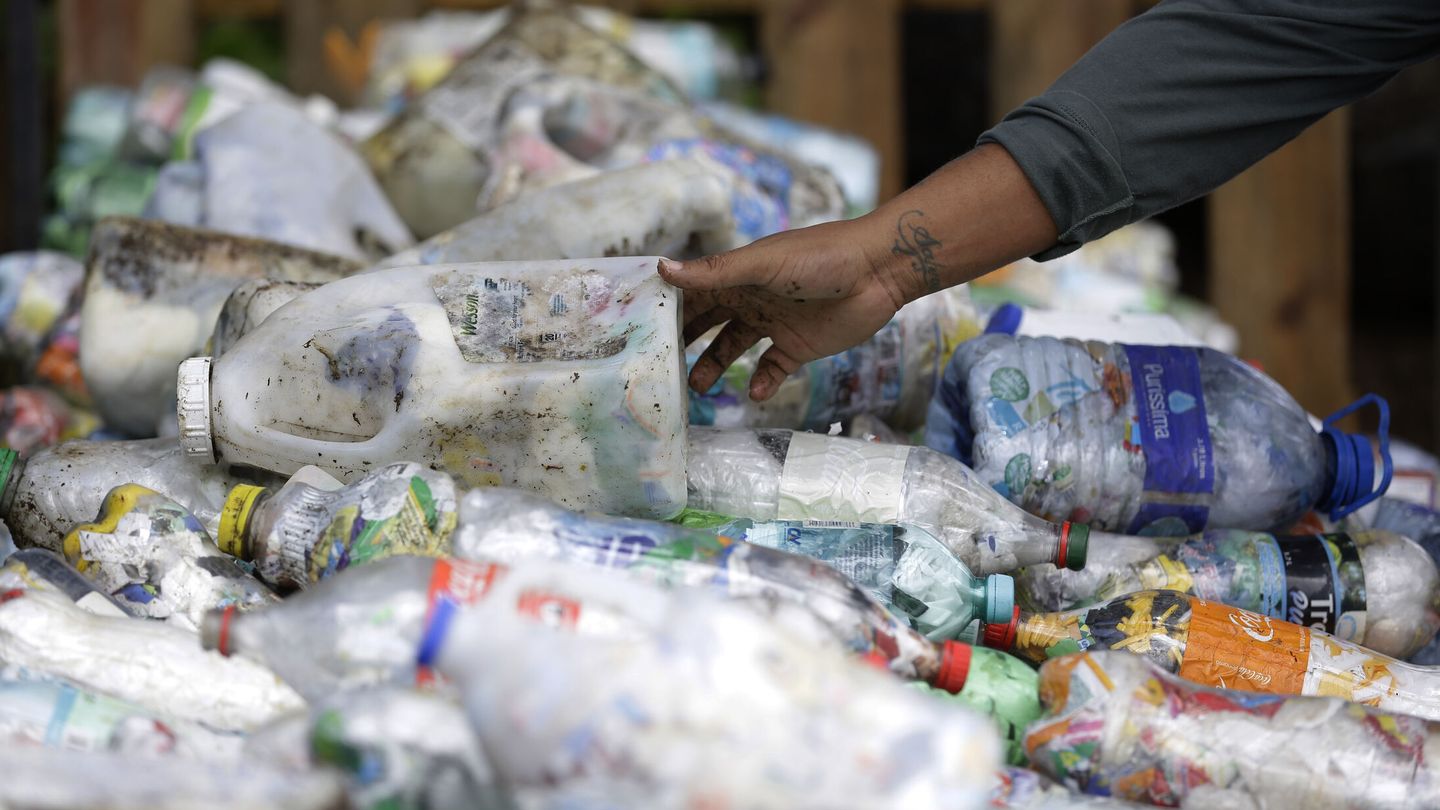 Residuos de botellas de plástico. (EFE)