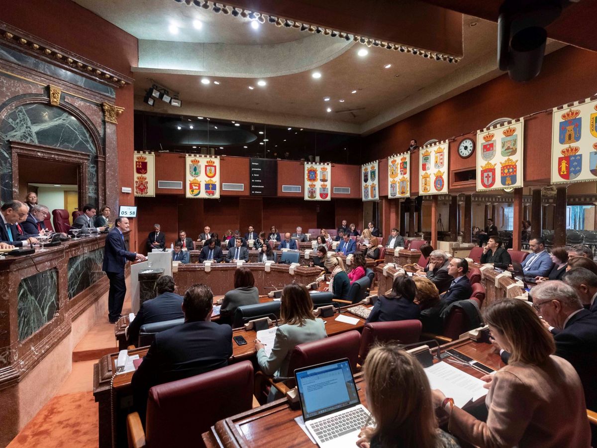 Foto: Debate sobre los Presupuestos de la Región de Murcia, en su cámara autonómica. (EFE)