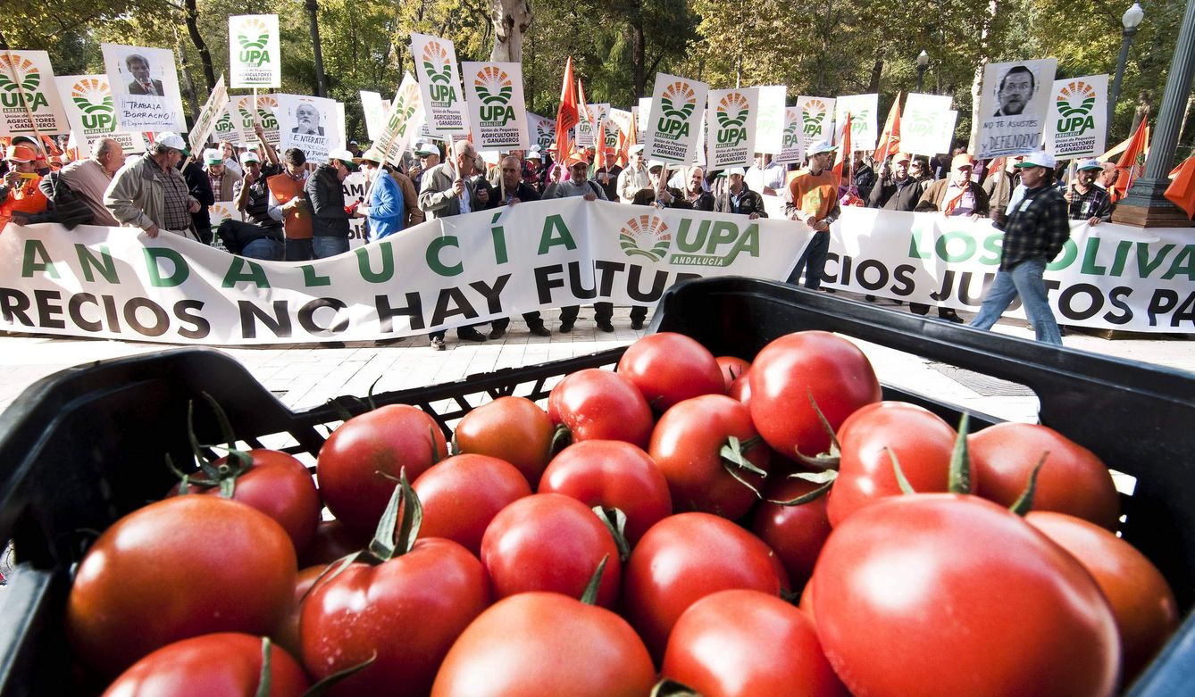 Protesta de agricultores en Sevilla, en una imagen de archivo. (EFE)