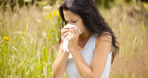 Foto: La alergia a las gramíneas causa estragos durante los primeros días de la primavera. (Corbis)