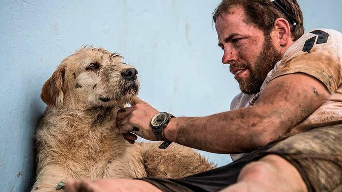 Muere Arthur, el perro ecuatoriano que enamoró a unos deportistas suecos