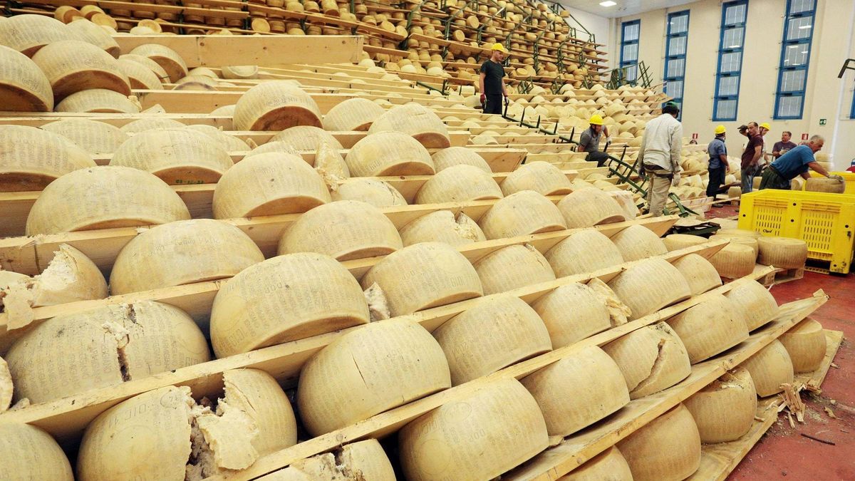 Muere un empresario italiano al ser aplastado por 25.000 quesos Grana Padano
