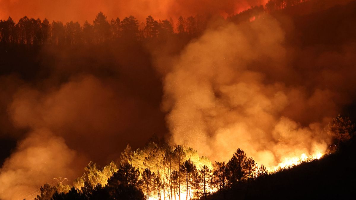 La Fiscalía investiga a la Xunta de Galicia por la gestión de los incendios del verano