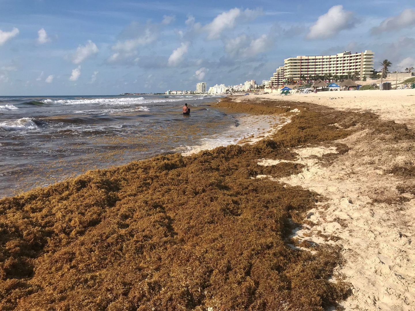 Cada día hay que retirar toneladas de sargazo en la zona hotelera de Cancún
