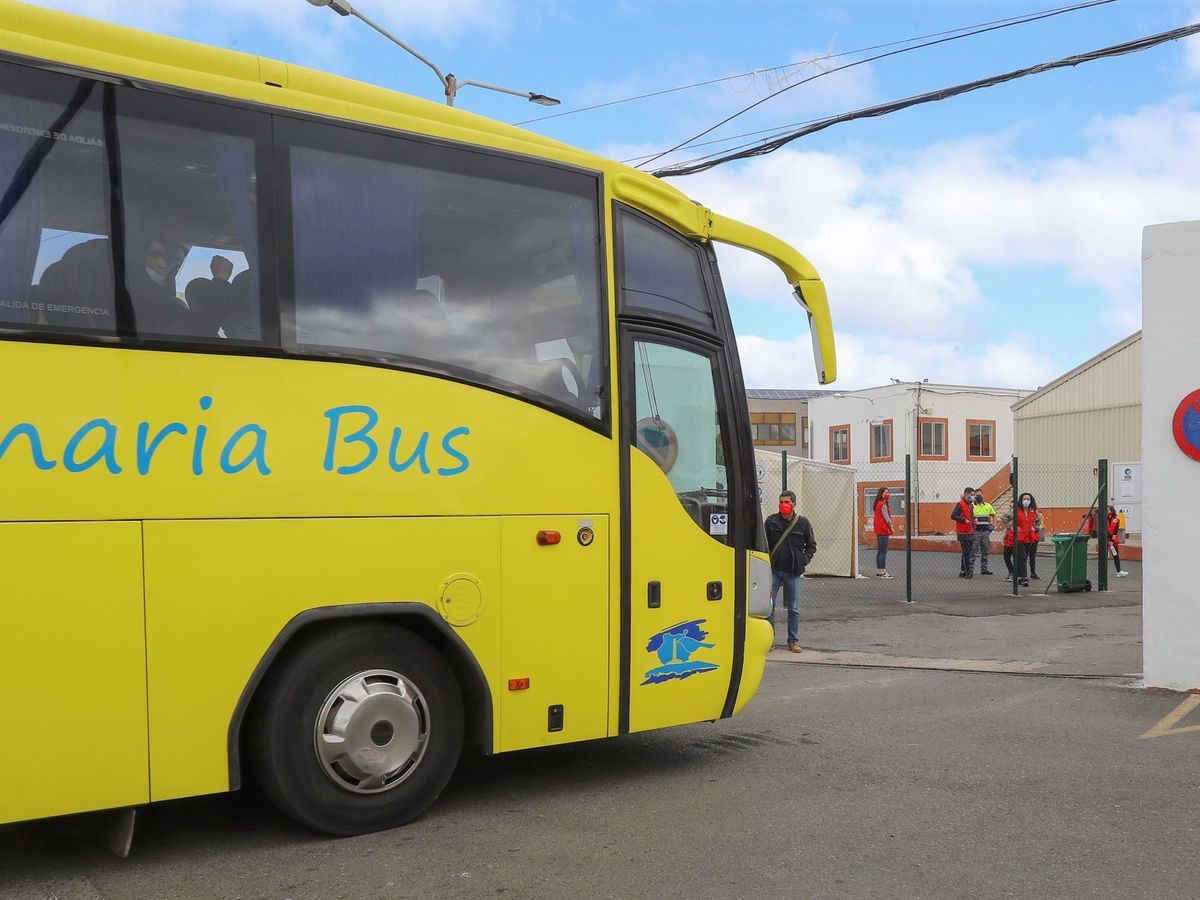 Foto: Imagen de archivo de un autobús en Canarias. (EFE/Elvira Urquijo)