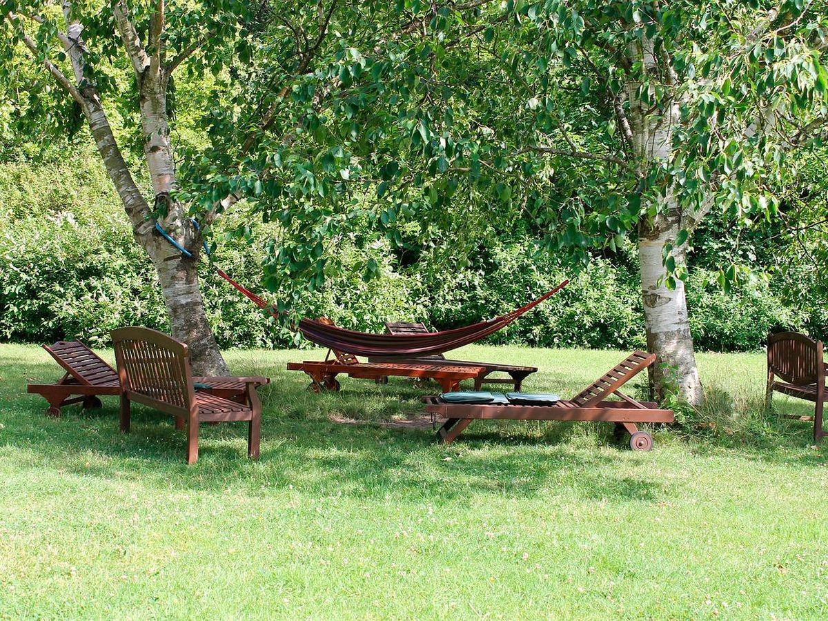 Foto: Hamacas para descansar y disfrutar de tu jardín (Pixabay)