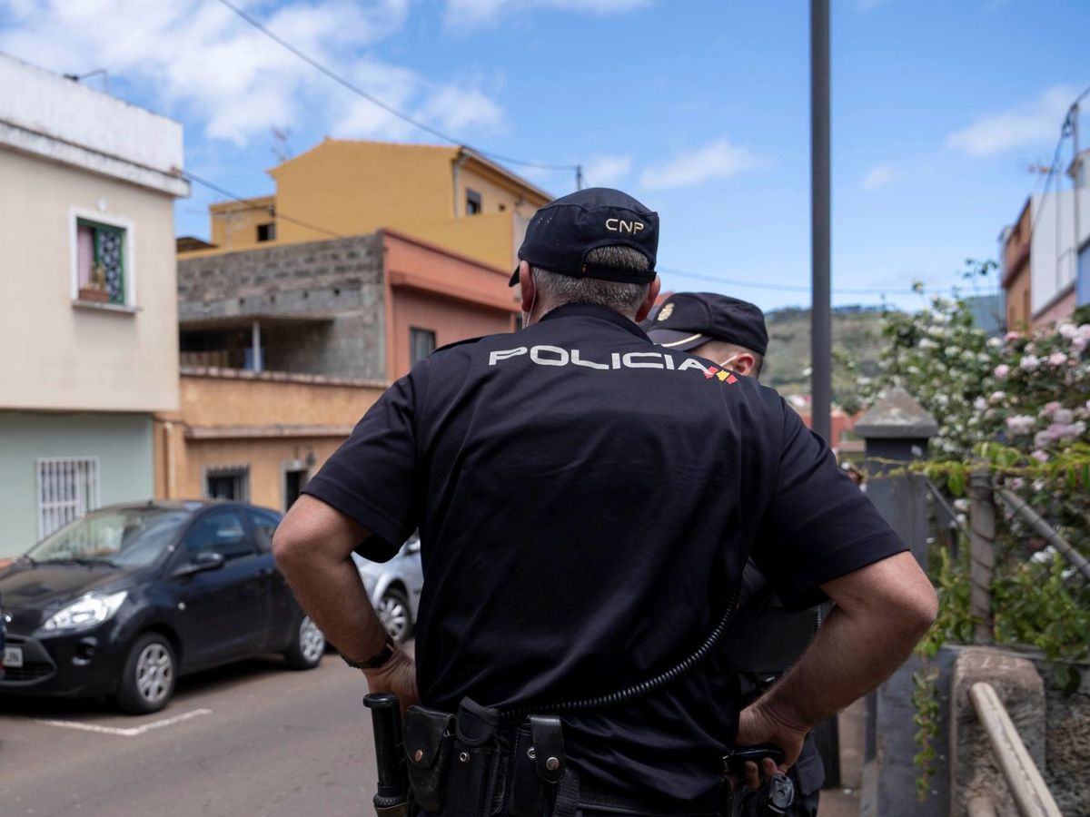 Foto: Policía de Tenerife. Foto: Efe