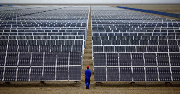 Foto: Foto de archivo de una plnata fotovoltaica. (Reuters)