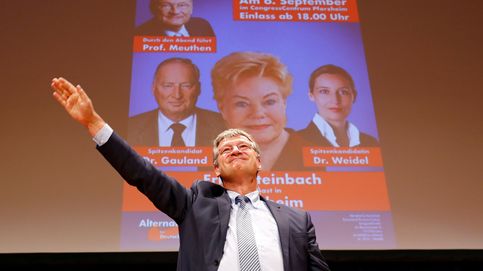 ¿Quién vota a Alternativa para Alemania?
