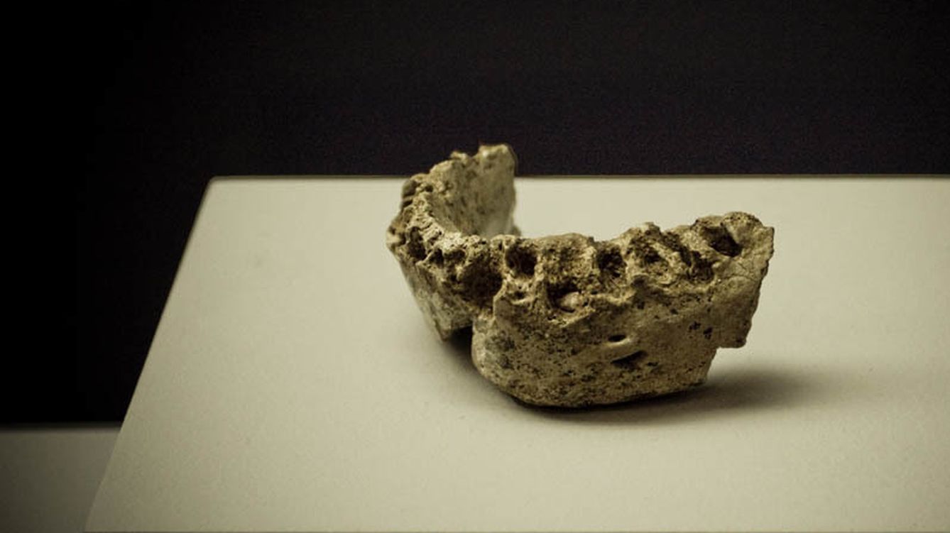 Foto: Una mandíbula de neandertal (Flickr/DG Patrimoni Cultural)