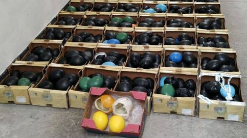 El plátano-melón de los narcos: historias de narcoingenio frutal para ocultar la droga en piñas y quesos