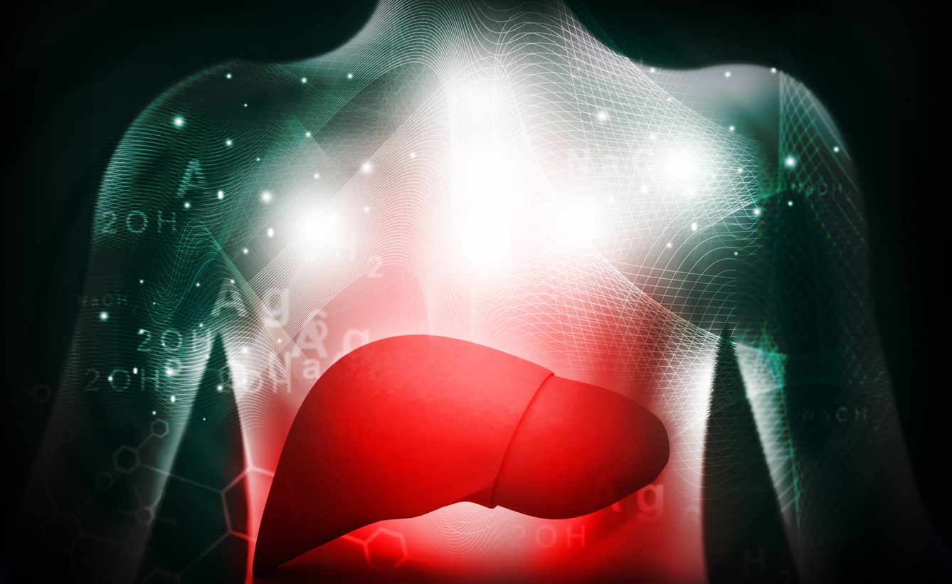 El hígado graso es la enfermedad hepática crónica más prevalente hoy. (iStock)