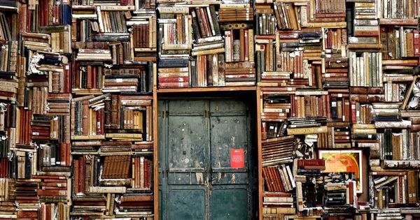 Foto: Una estantería atestada de libros. (Pixabay)