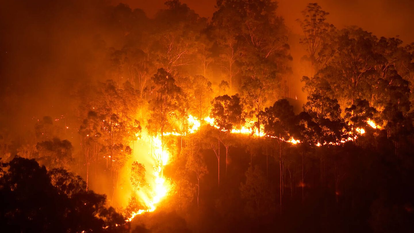 Los incendios forestales provocados son muy comunes en España. (iStock)
