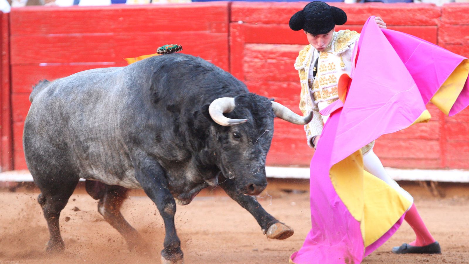 Foto: Imagen de archivo de una corrida de toros. (EFE)