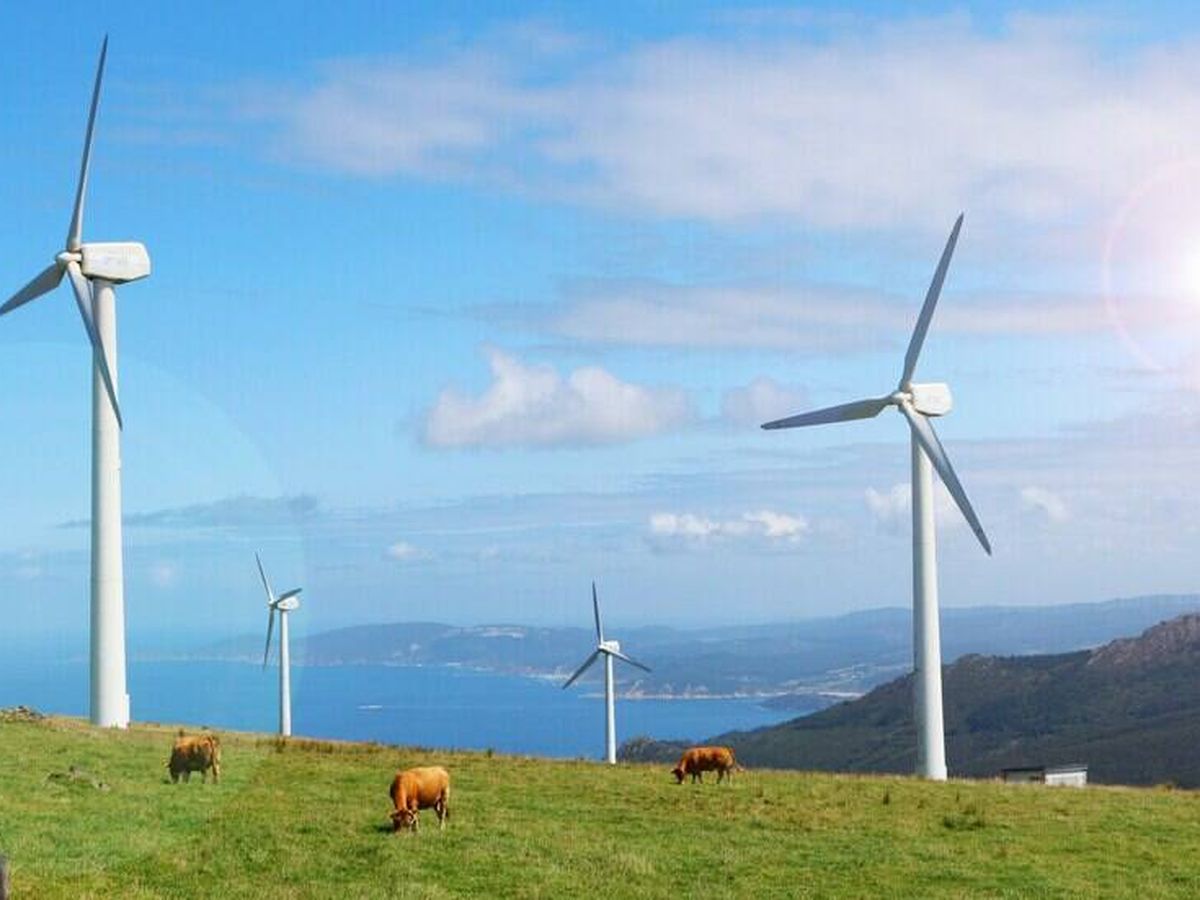 Foto: Parque eólico en Cabo Ortegal (A Coruña). (Freepick)
