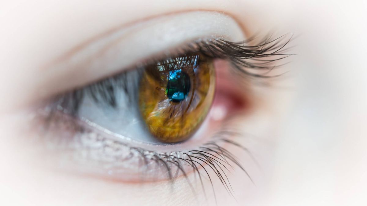 Desarrollan una lente intraocular que imita el cristalino y puede corregir la presbicia