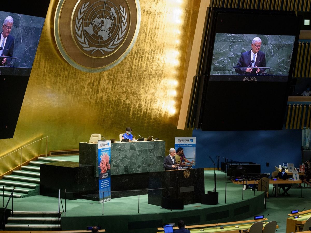 Foto: Fotografía cedida por la ONU donde aparece el presidente del septuagésimo quinto periodo de sesiones de la Asamblea General, Volkan Bozkir, en junio de 2021. (EFE/ONU/Loey Felipe)