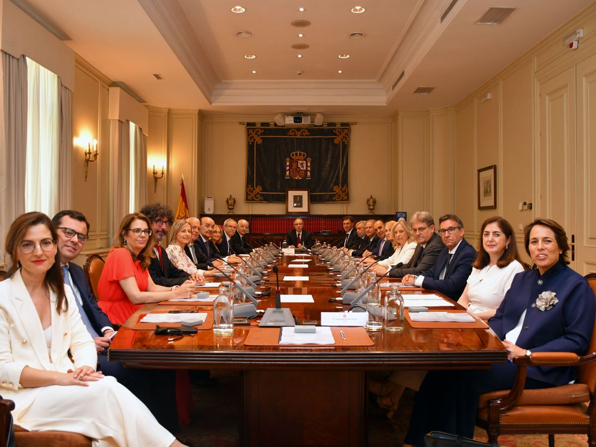 Foto: El nuevo Consejo General del Poder Judicial en su primer pleno. (Europa Press)