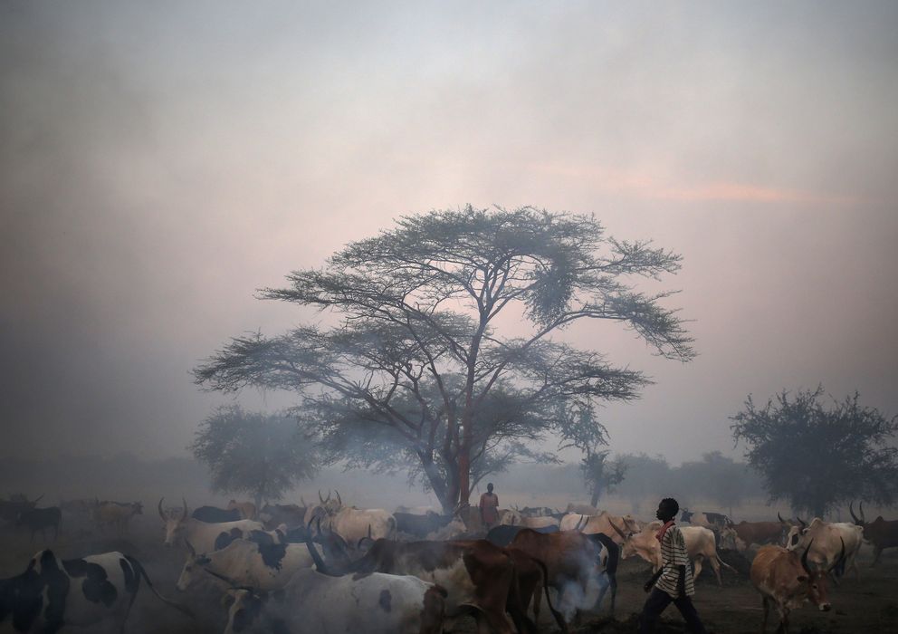 Foto: Hombres de la tribu Dinka, de Sudán del Sur, guardan el ganado en Abyei (Reuters).