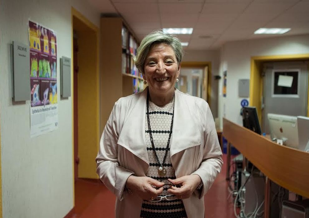 Foto: Ana Lluch, jefa de Oncología del Hospital Clínico de Valencia (Fotografía: Lino Escurís).