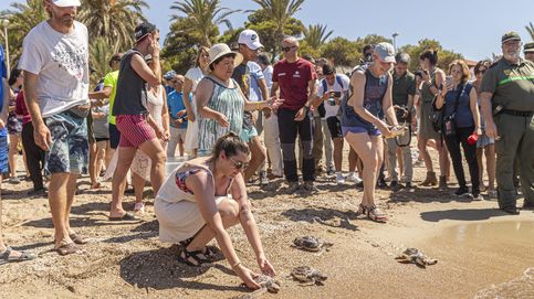 Calor sofocante en España y suelta de tortuga boba: el día en fotos