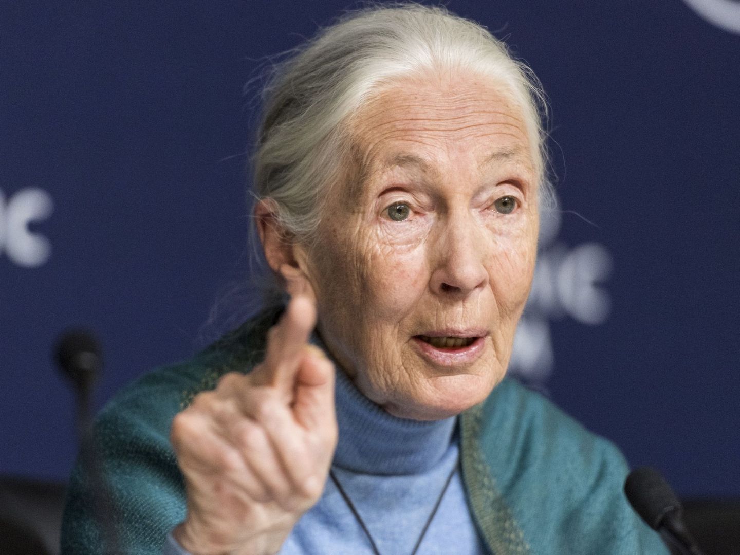 La doctora Jane Goodall (EFE)