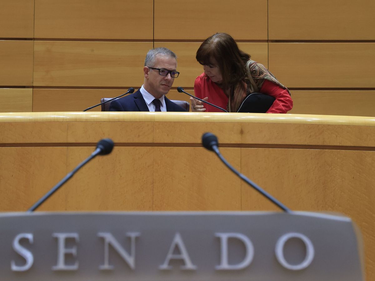 Foto: El presidente del Senado, Ander Gil, y la vicepresidenta primera, Cristina Narbona. (EFE/Zipi Aragon)