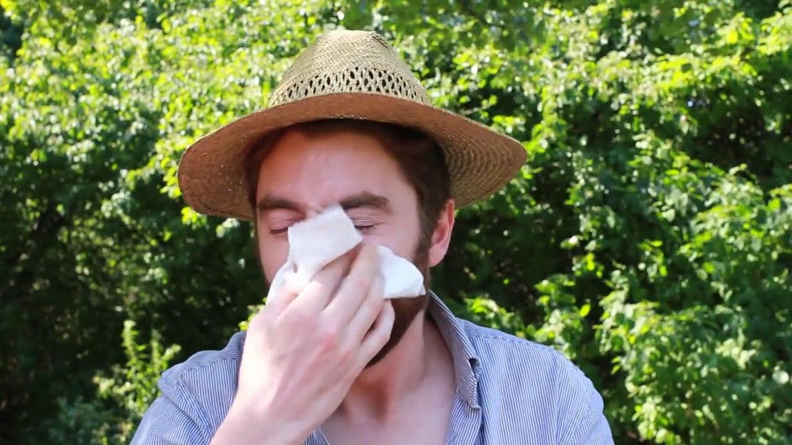 Foto: Picores, enrojecimientos y estornudos son síntomas habituales. (Vimeo)