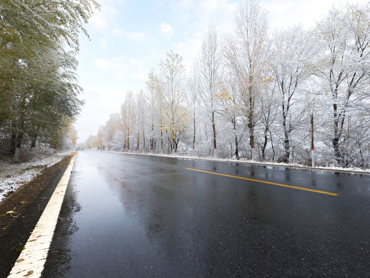 Foto: El 41% de los españoles no conduciría jamás por una carretera helada. (Goodyear)