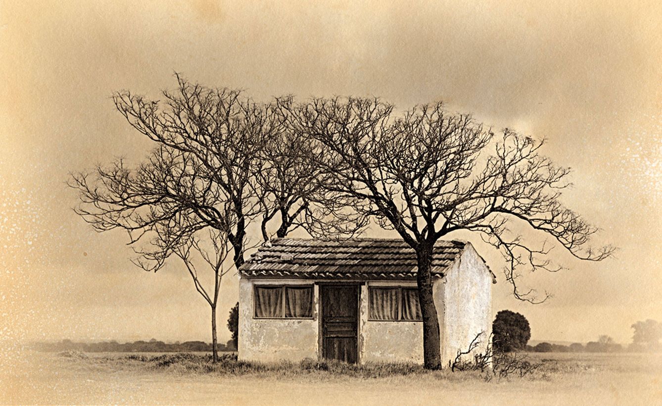 Foto: Representación de la exposición 'Mi casa, mi árbol', de José Quintanilla. 