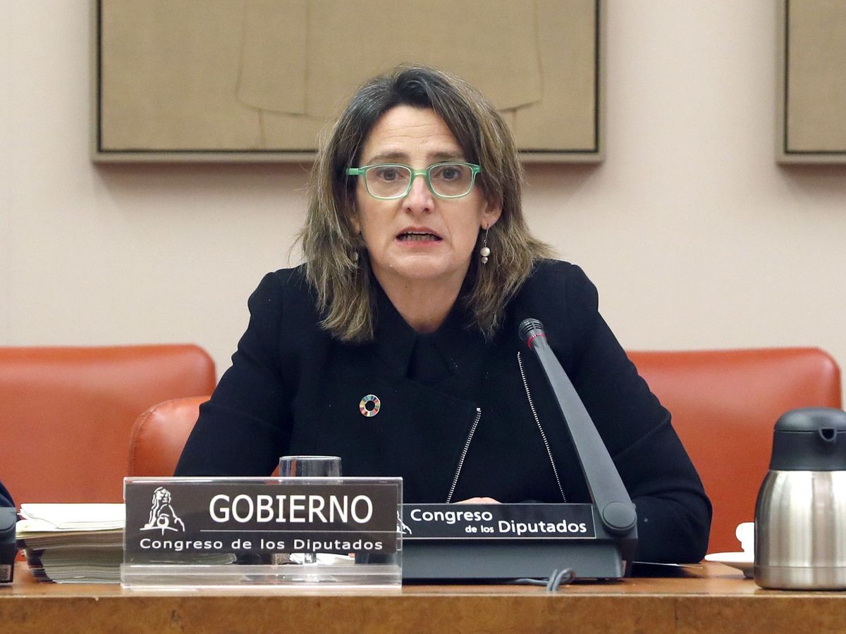 Foto: La ministra de Transición Ecológica y Reto Demográfico y vicepresidenta cuarta, Teresa Ribera. (EFE)