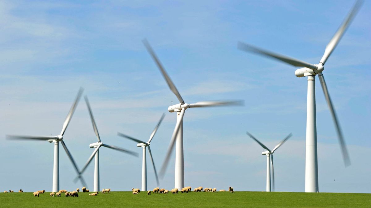 Capital Energy lidera una subasta renovable muy repartida con Repsol y Forestalia fuera 