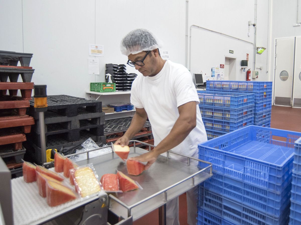 Foto: El Departamento de empaquetado de la fábrica de quesos Cooperativa Coinga. (EFE/David Arquimbau Sintes)