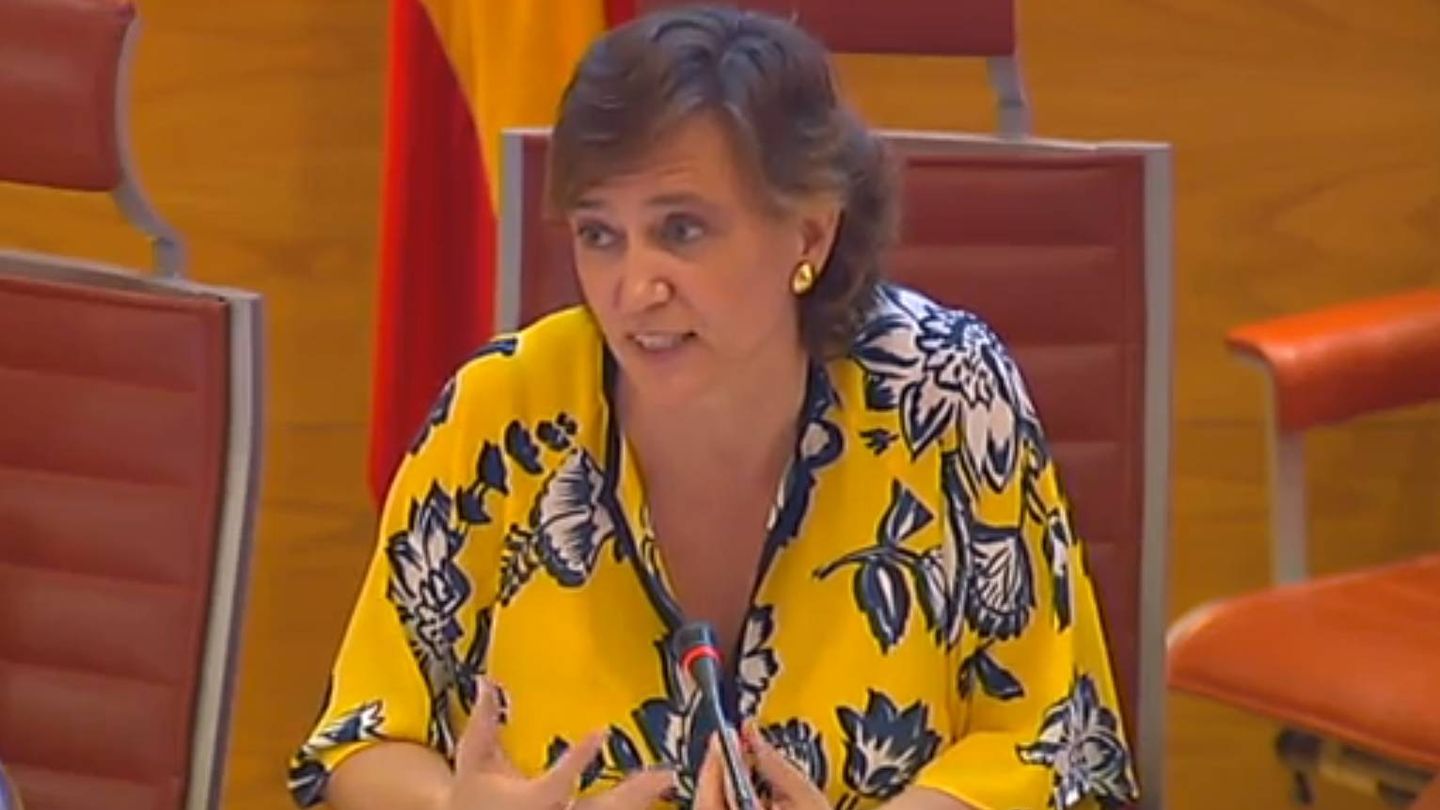Laura López de Cerain, en una comparecencia en el Senado.