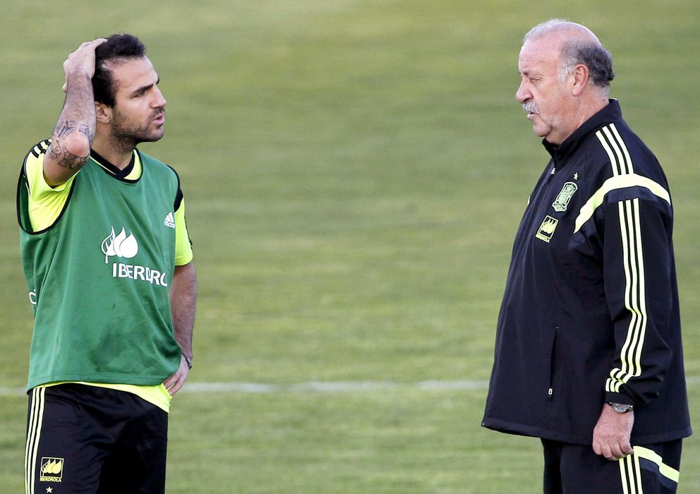 Foto: Cesc Fàbregas y Del Bosque, en un entrenamiento con la Selección (Efe)
