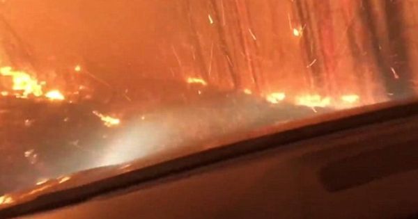 Foto: Así se vivió el incendio desde el interior del vehículo