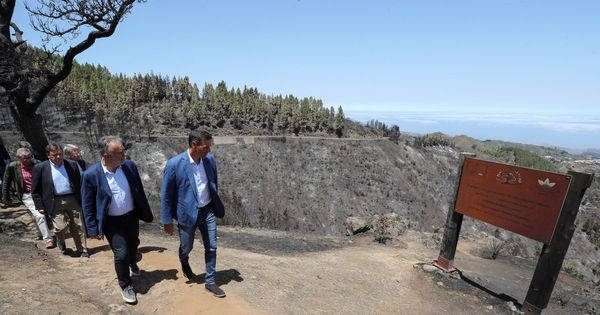 Foto: Pedro Sánchez visita las zonas afectadas por el incendio de Gran Canaria. (EFE)
