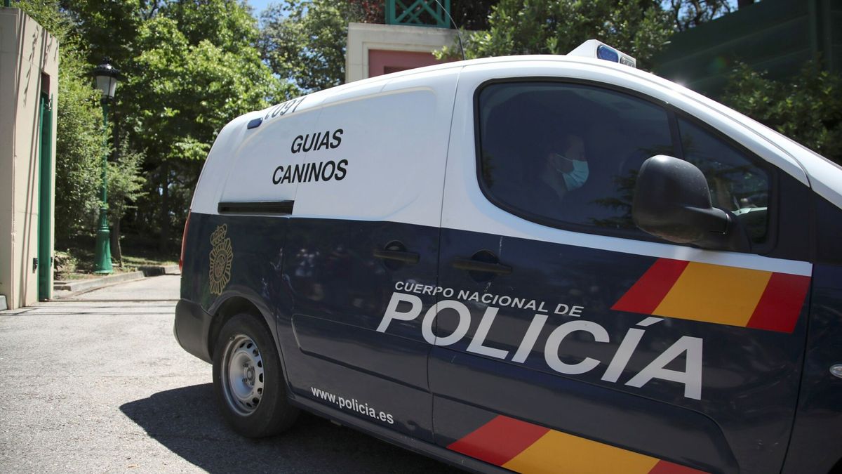 Dos detenidos en Alicante por intentar matar a un hombre y robarle